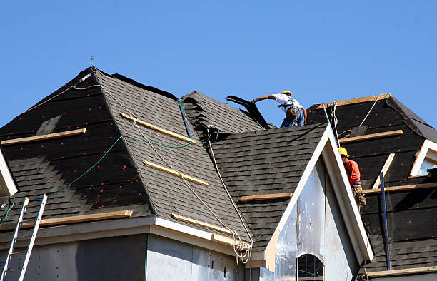 Best Metal Roofing Contractor  in Brookings, SD